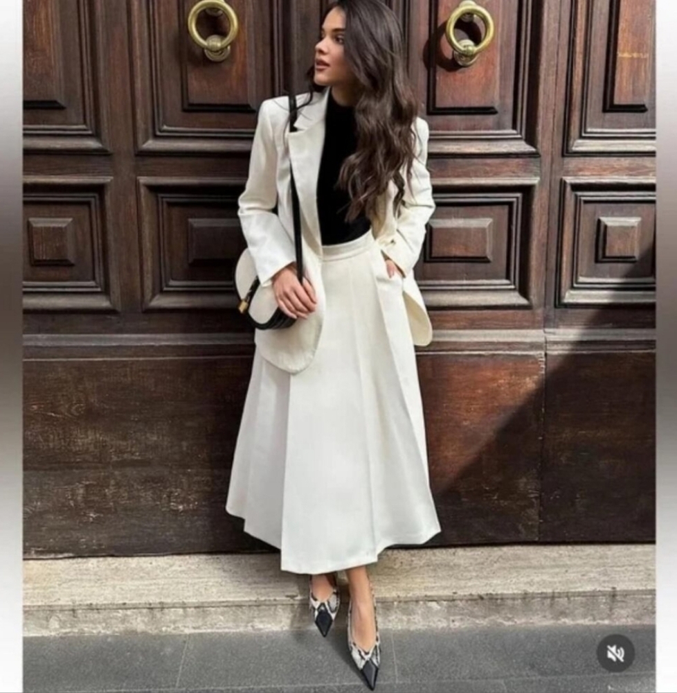 Zara Box Pleated Skirt - Picture 3 of 11